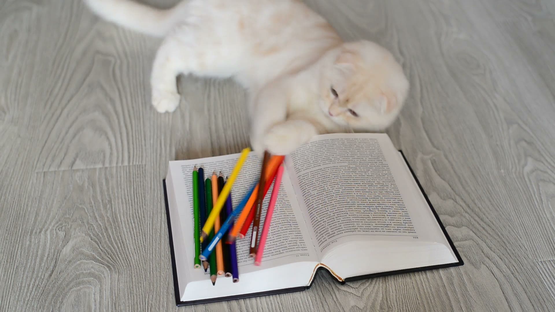 A cat batting colored pencils across an open book on the floor.