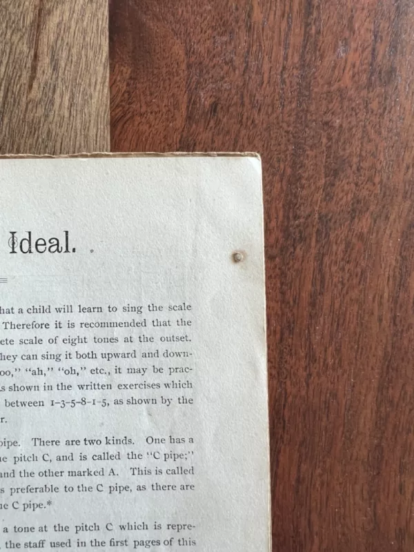 Page detail showing a blemish on an antique book.